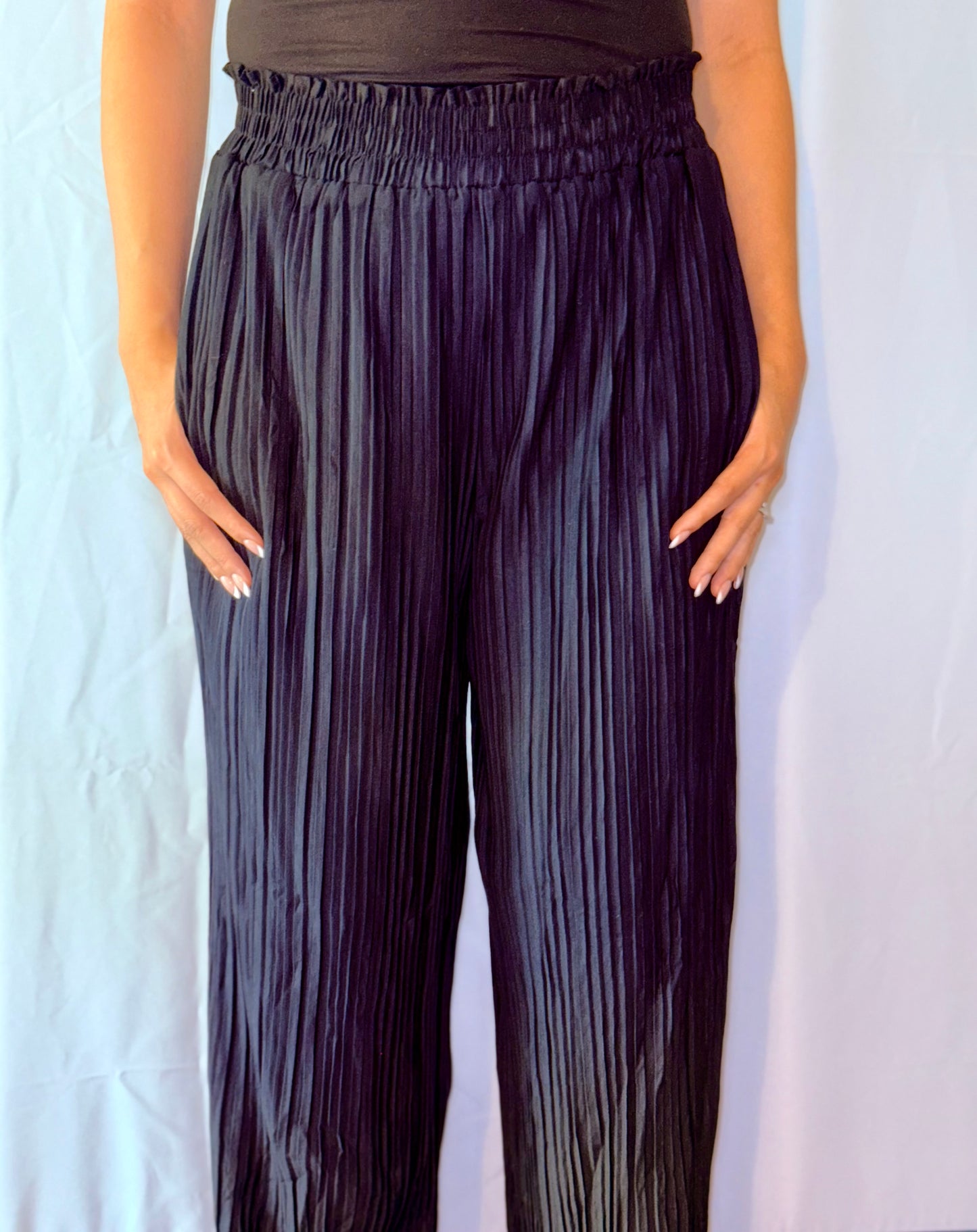 Solid Wide Leg Pleated Pants