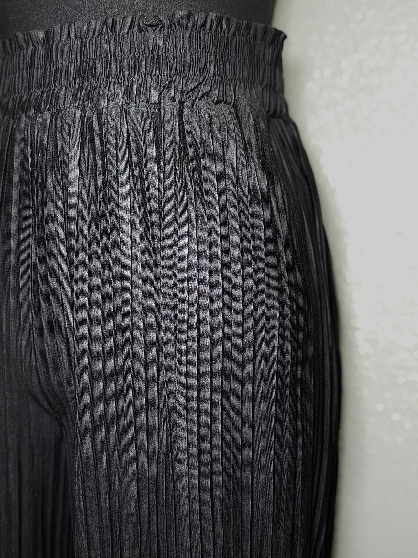 Solid Wide Leg Pleated Pants